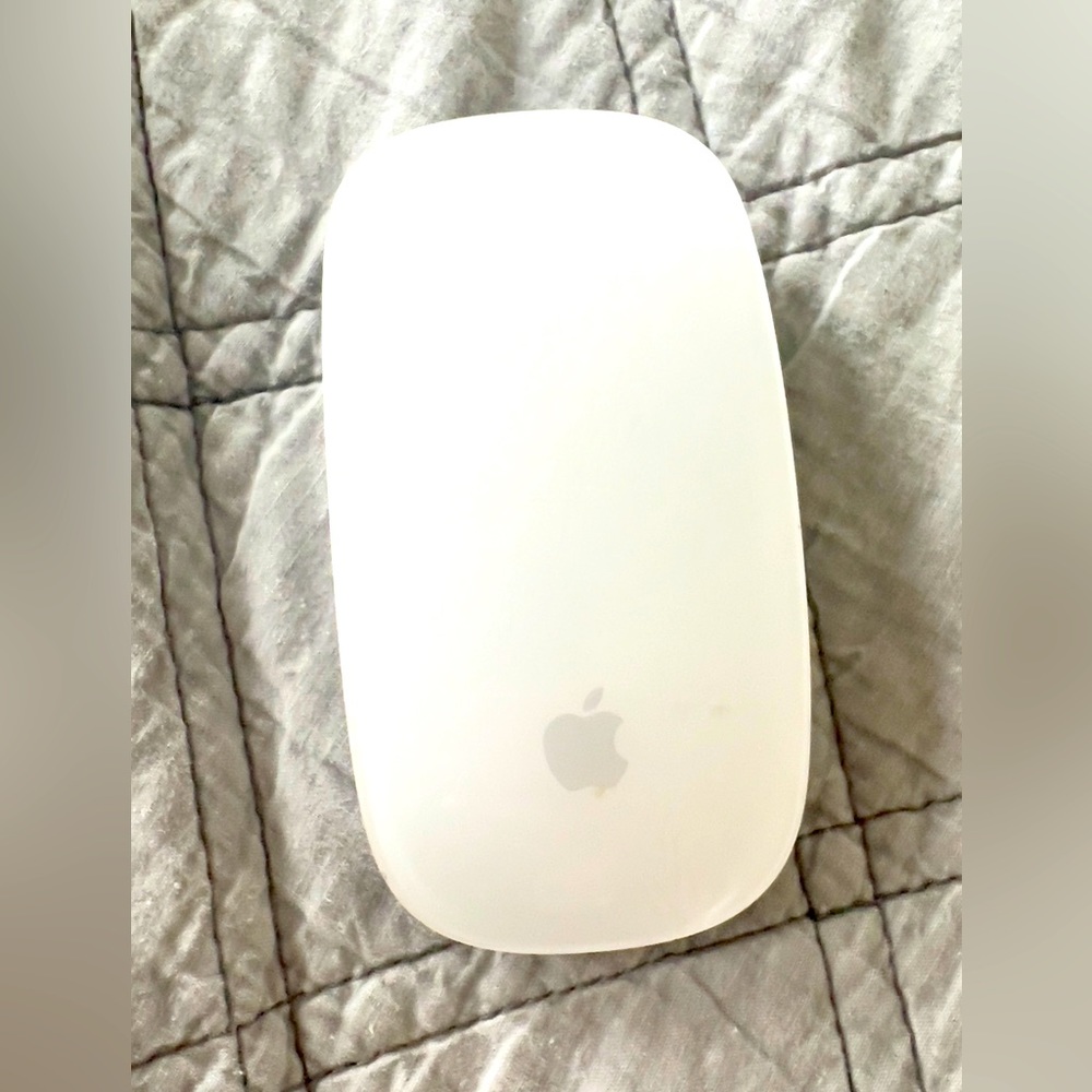 APPLE MOUSE